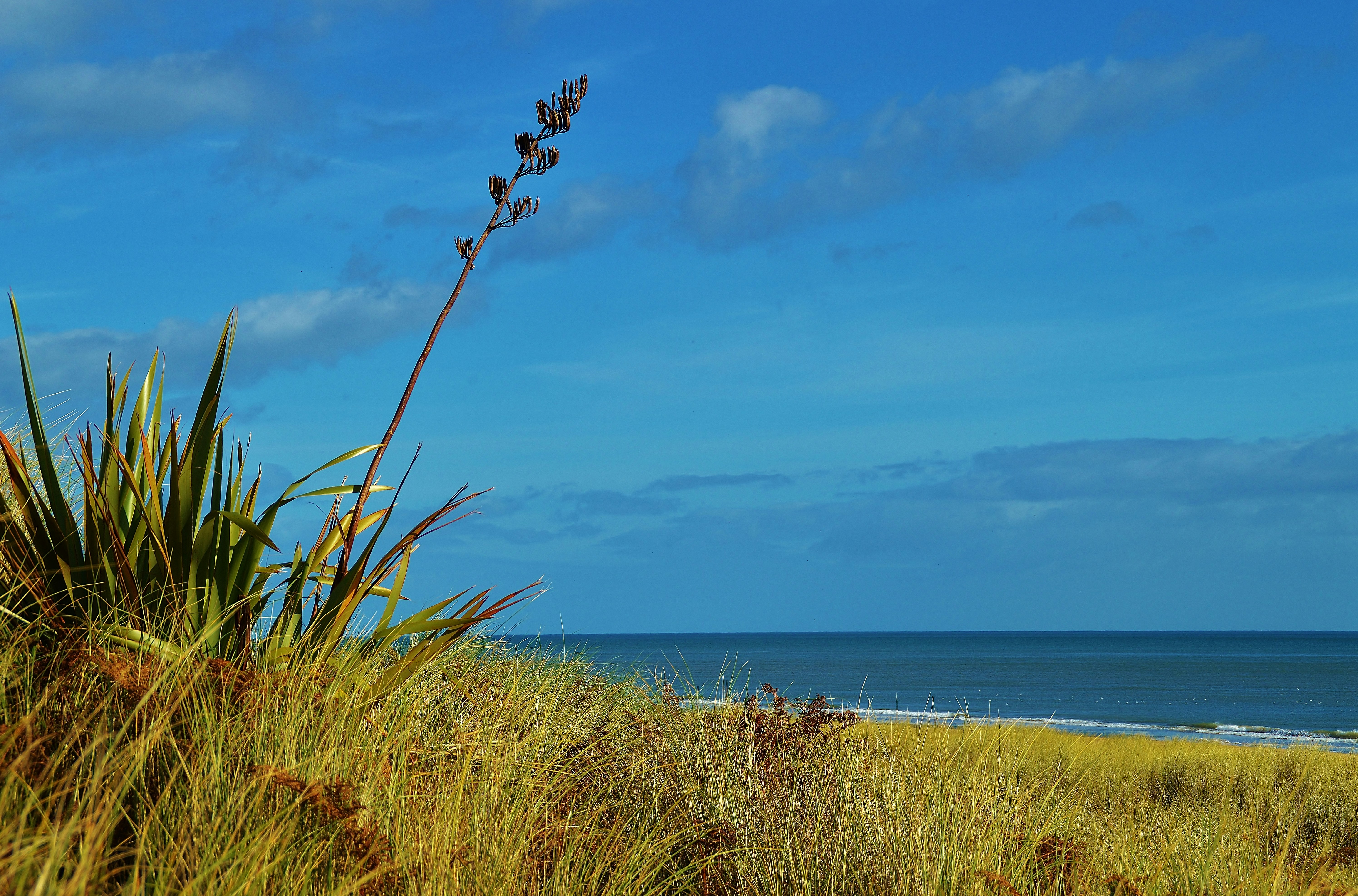 Photo by pixelkisses