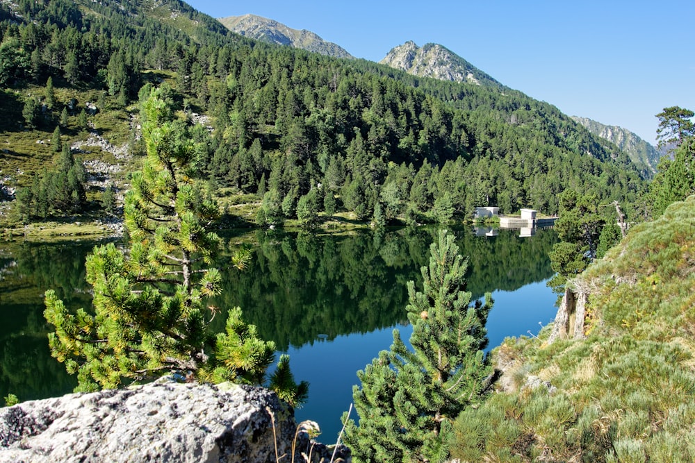 lake between trees and mountains