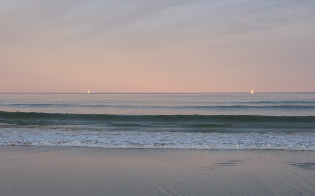 ocean wave on shore