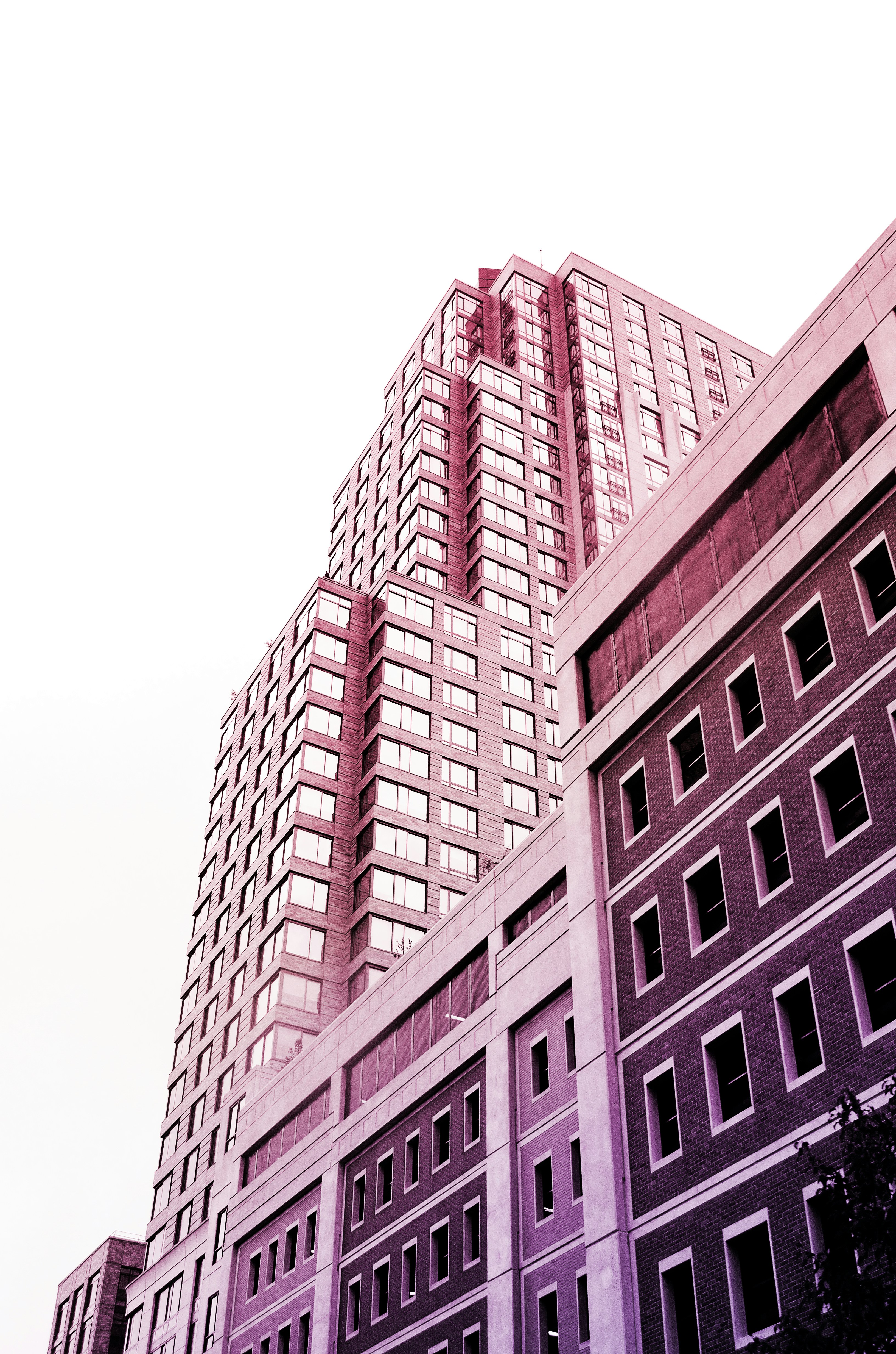 Photo by magneticlab