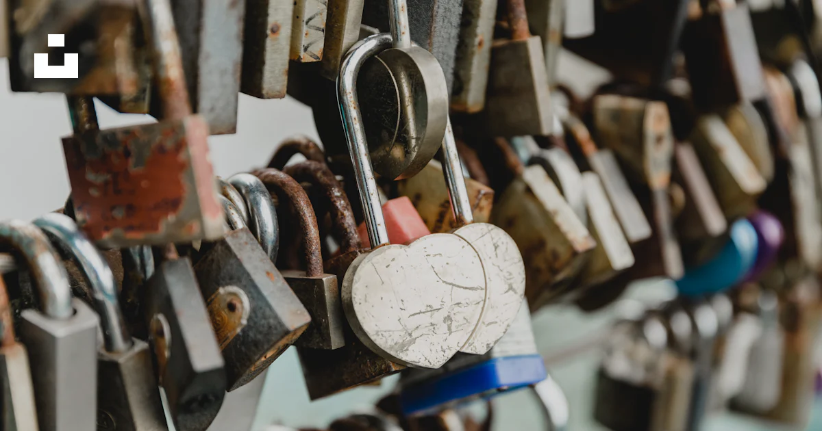 Assorted Padlocks Assorted-color padlocks photo – Free Lock Image on Unsplash