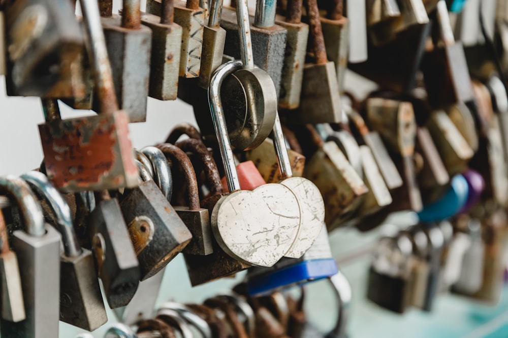 assorted-color padlocks