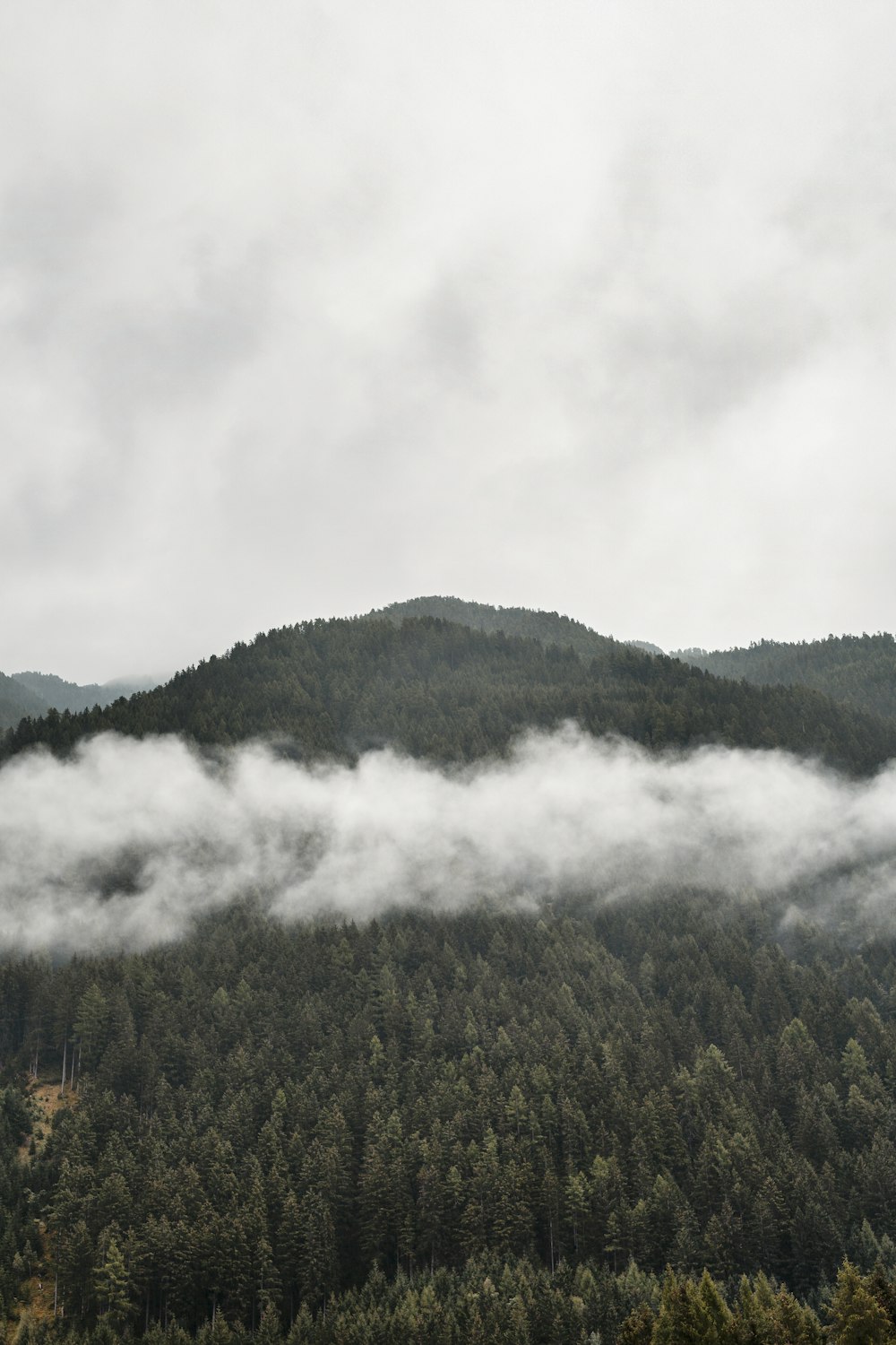 foggy mountain scenery