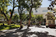 Campus courtyard with students discussing projects under the shade of trees.
