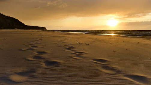 A vibrant sunset over a quiet beach with footprints in the sand.