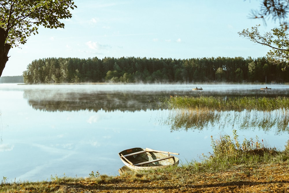 brown wooden boat