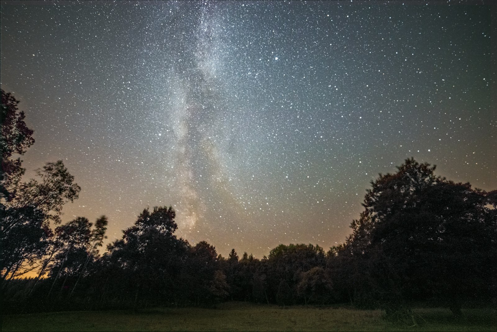 Nikon D800E + Samyang 14mm F2.8 ED AS IF UMC sample photo. Trees under galaxy photography