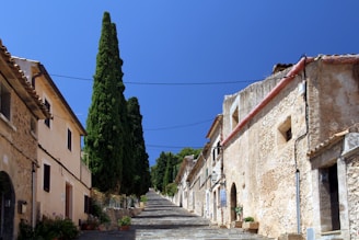 brown houses near green trees