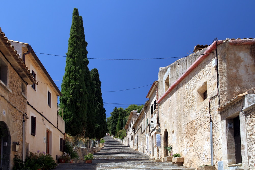 brown houses near green trees