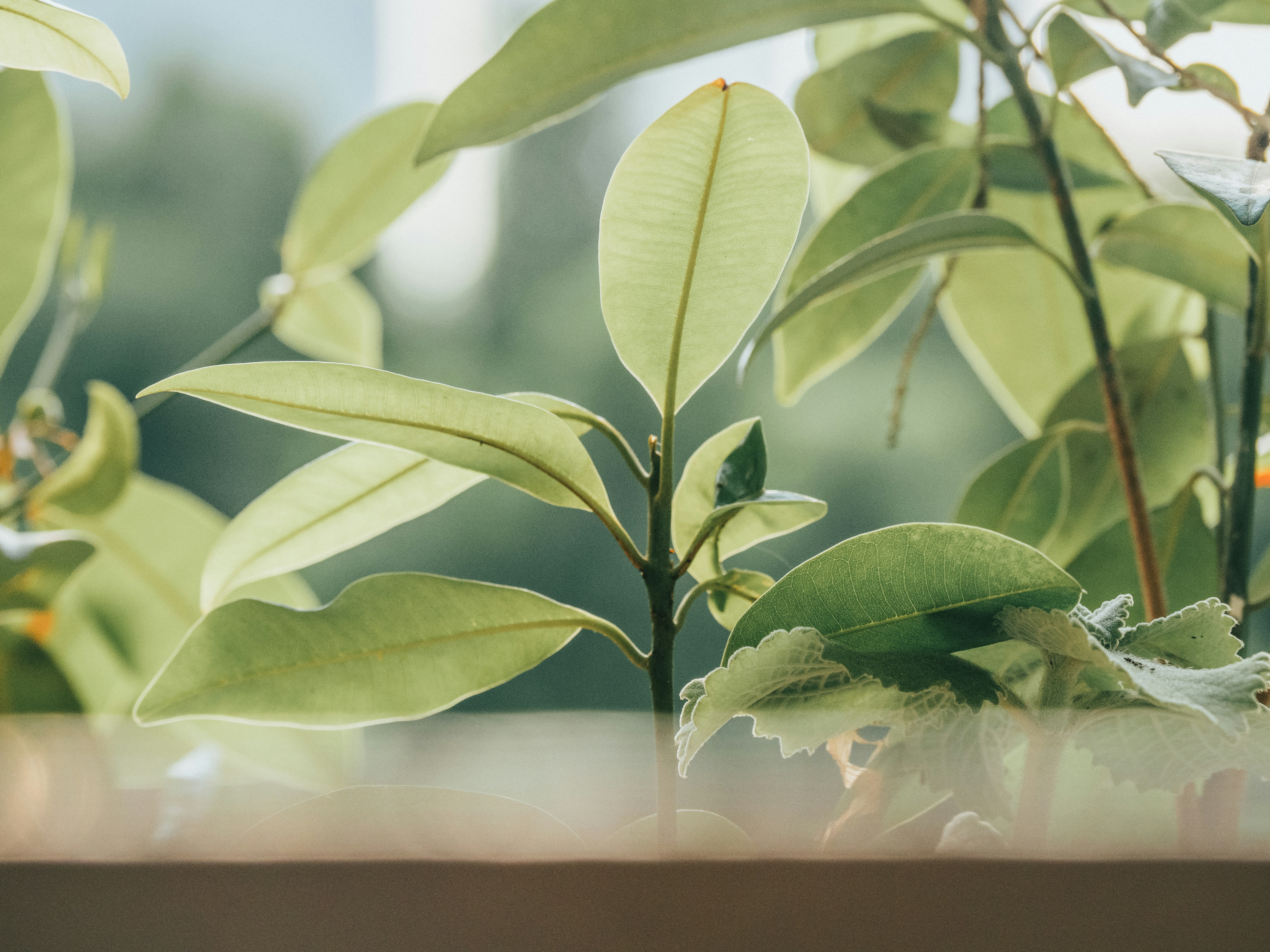 Photo by kinchanvisual