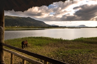 A tranquil scene of a horse standing by a wooden fence at sunset.