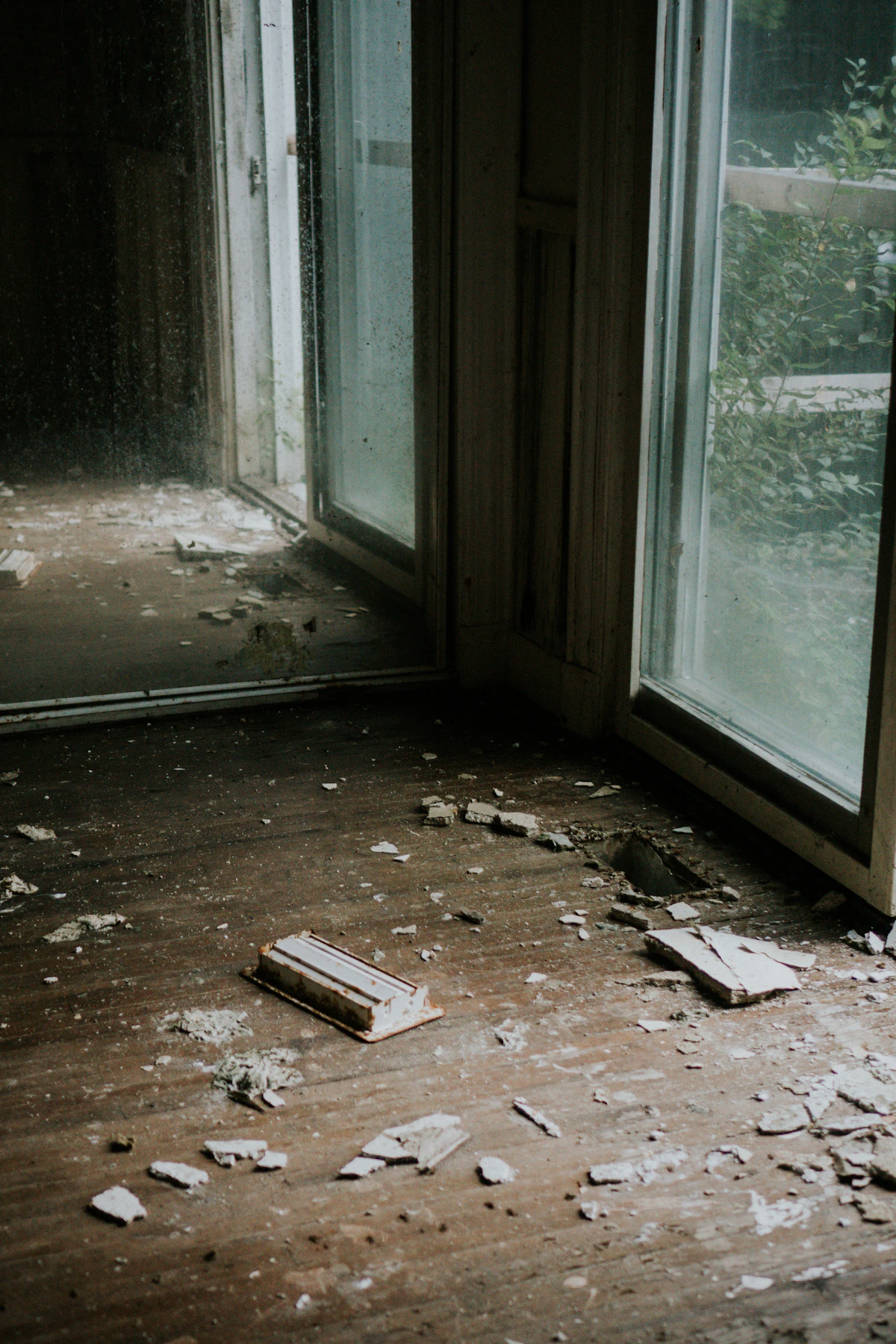 Mold Remediation