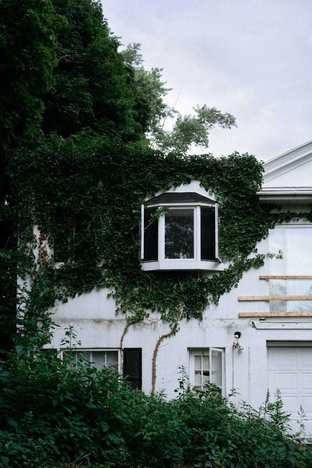 white house and green trees