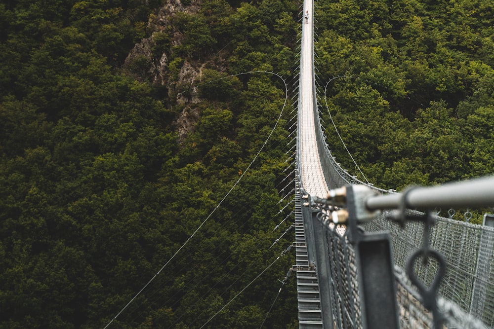 gray steel hanging bridge scenery