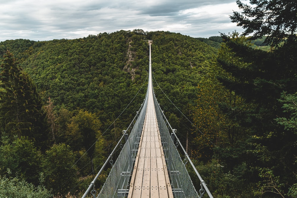 gray hanging bridge above forest