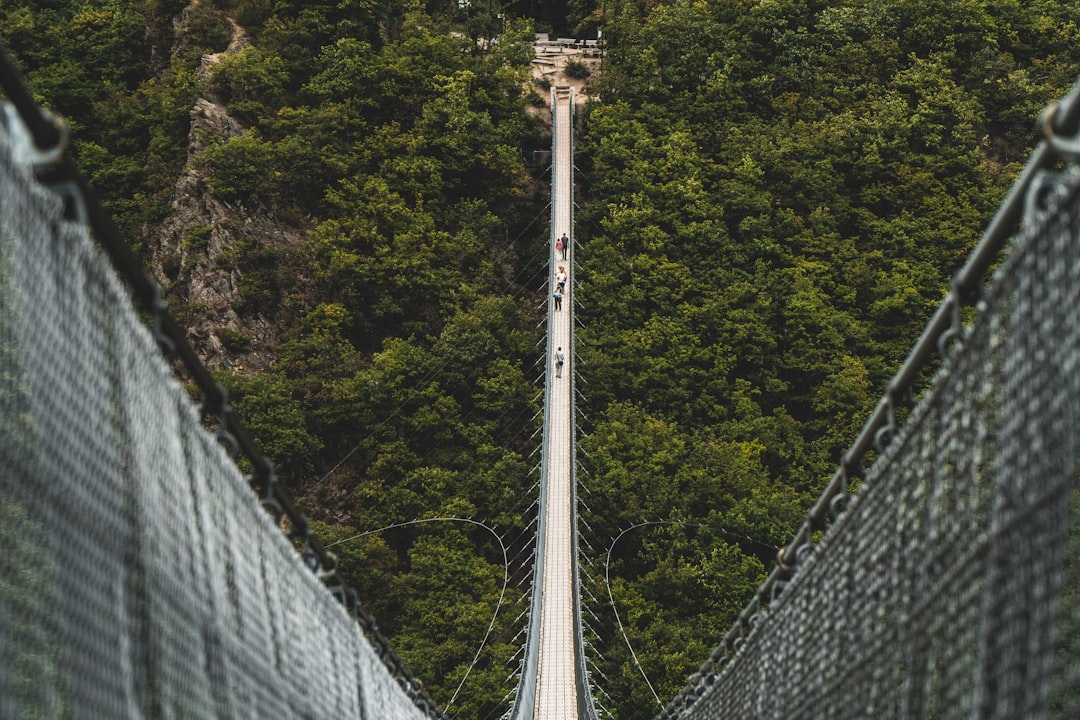 people walking on bridge during day