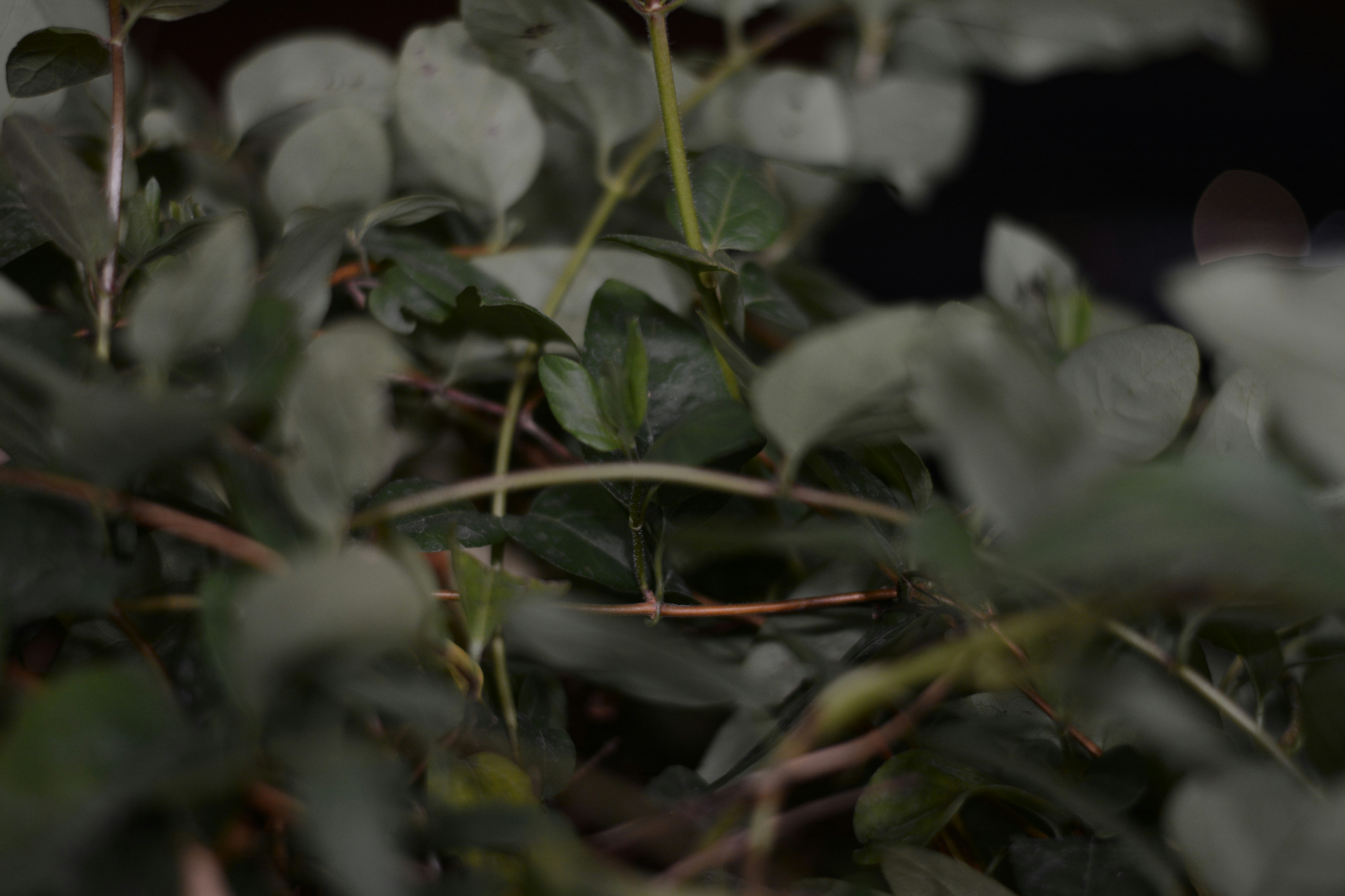 Photo by laurastefan