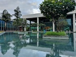 A modern building with large glass windows is surrounded by lush green trees and a reflective water feature. The trees are planted in geometric concrete beds along the edge of a calm pool, creating a serene and harmonious environment. The sky is partly cloudy, adding to the tranquil atmosphere.