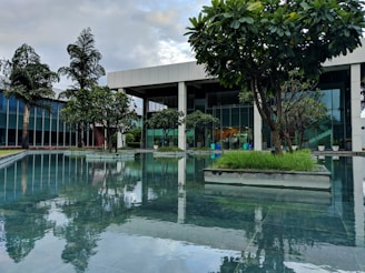 A modern building with large glass windows is surrounded by lush green trees and a reflective water feature. The trees are planted in geometric concrete beds along the edge of a calm pool, creating a serene and harmonious environment. The sky is partly cloudy, adding to the tranquil atmosphere.