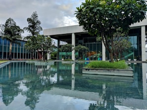A modern building with large glass windows is surrounded by lush green trees and a reflective water feature. The trees are planted in geometric concrete beds along the edge of a calm pool, creating a serene and harmonious environment. The sky is partly cloudy, adding to the tranquil atmosphere.