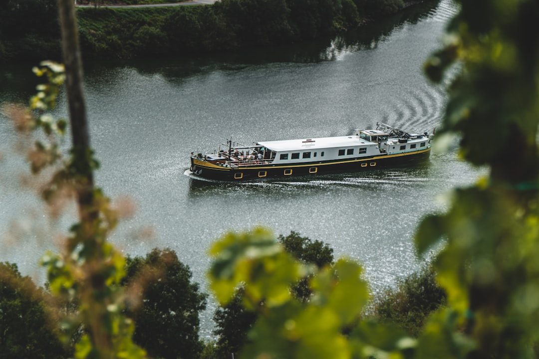 white and black boat on water