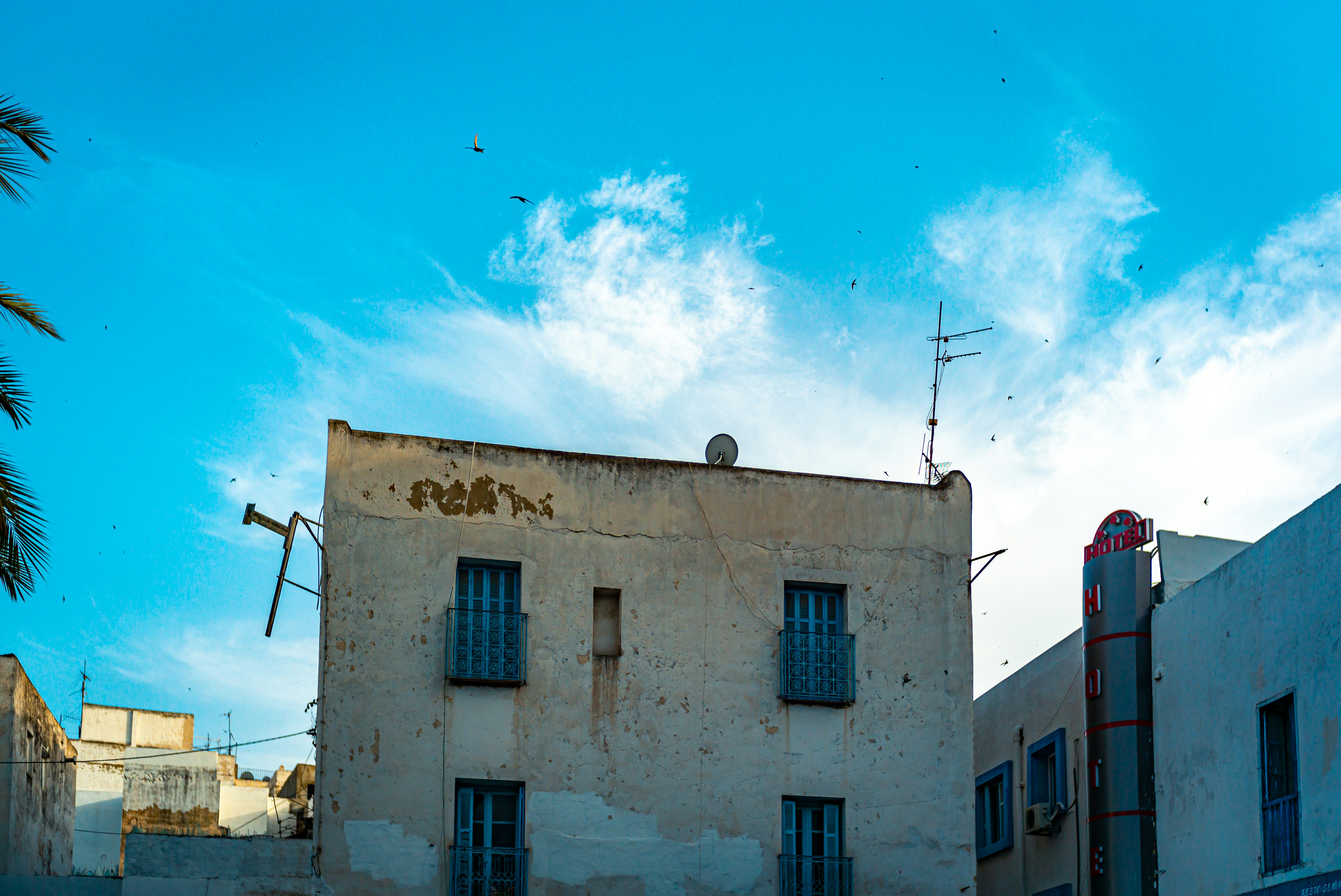 Photo by david_watkis