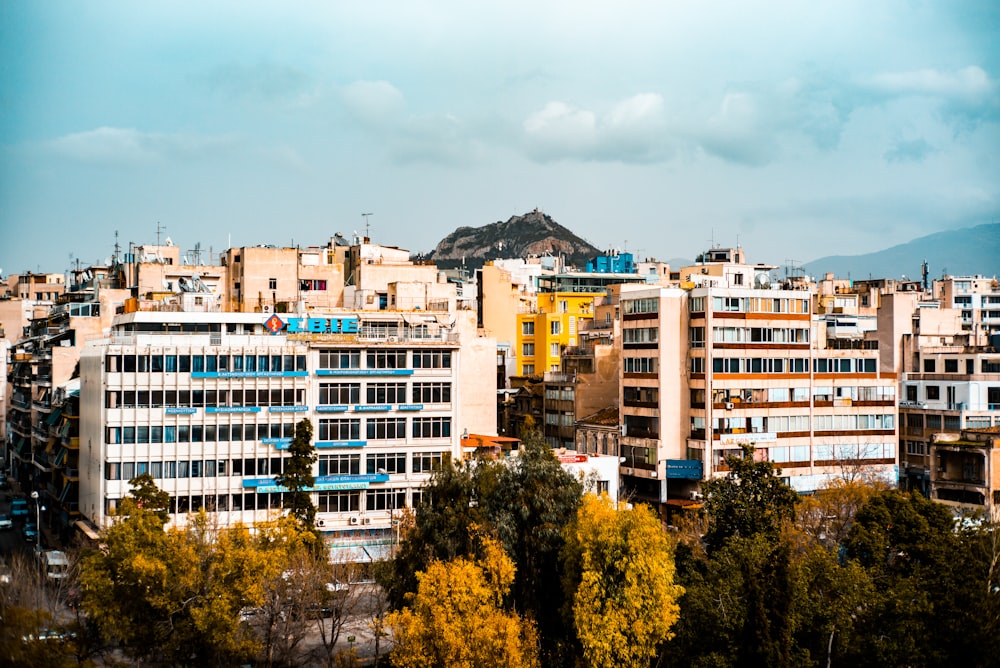 aerial photo of trees beside buildings