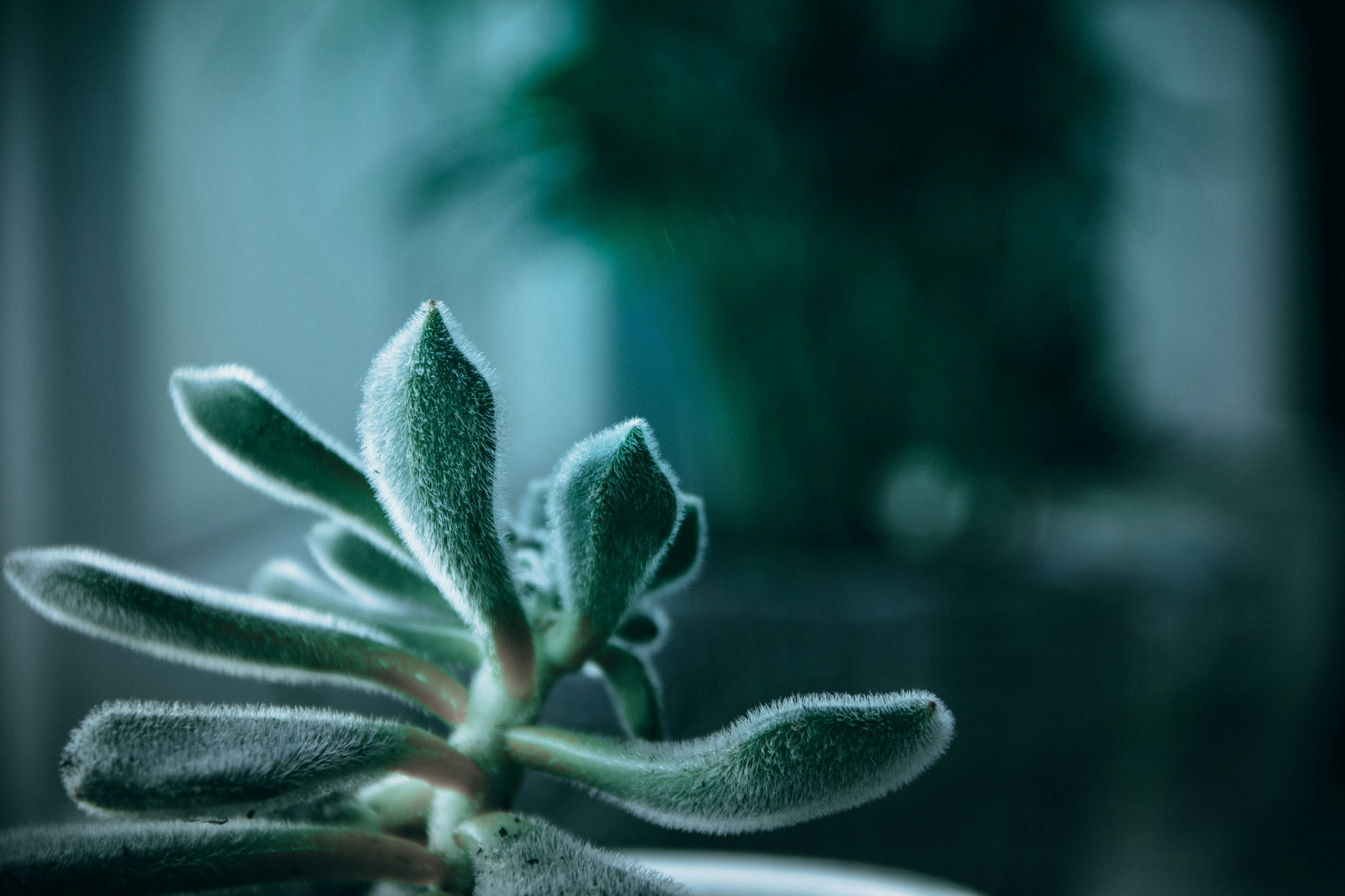 10 Connection Growth Advice Methods to Reduce Tension Quickly