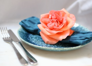 orange petaled flower on plate