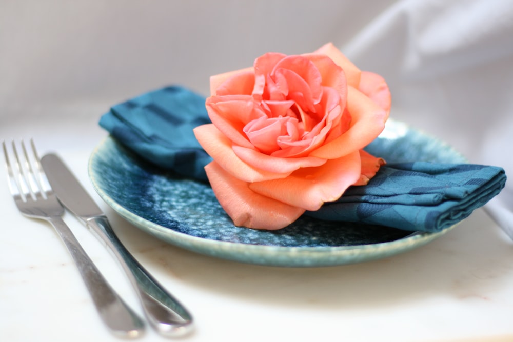 orange petaled flower on plate