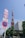 A prominent red and white communications tower stands tall against a clear blue sky. In the foreground, multiple road signs are visible, indicating various traffic regulations. The base of the tower is surrounded by greenery and a modern office building labeled 'Tata Consultancy Services'. The overall scene is urban with clear visibility.