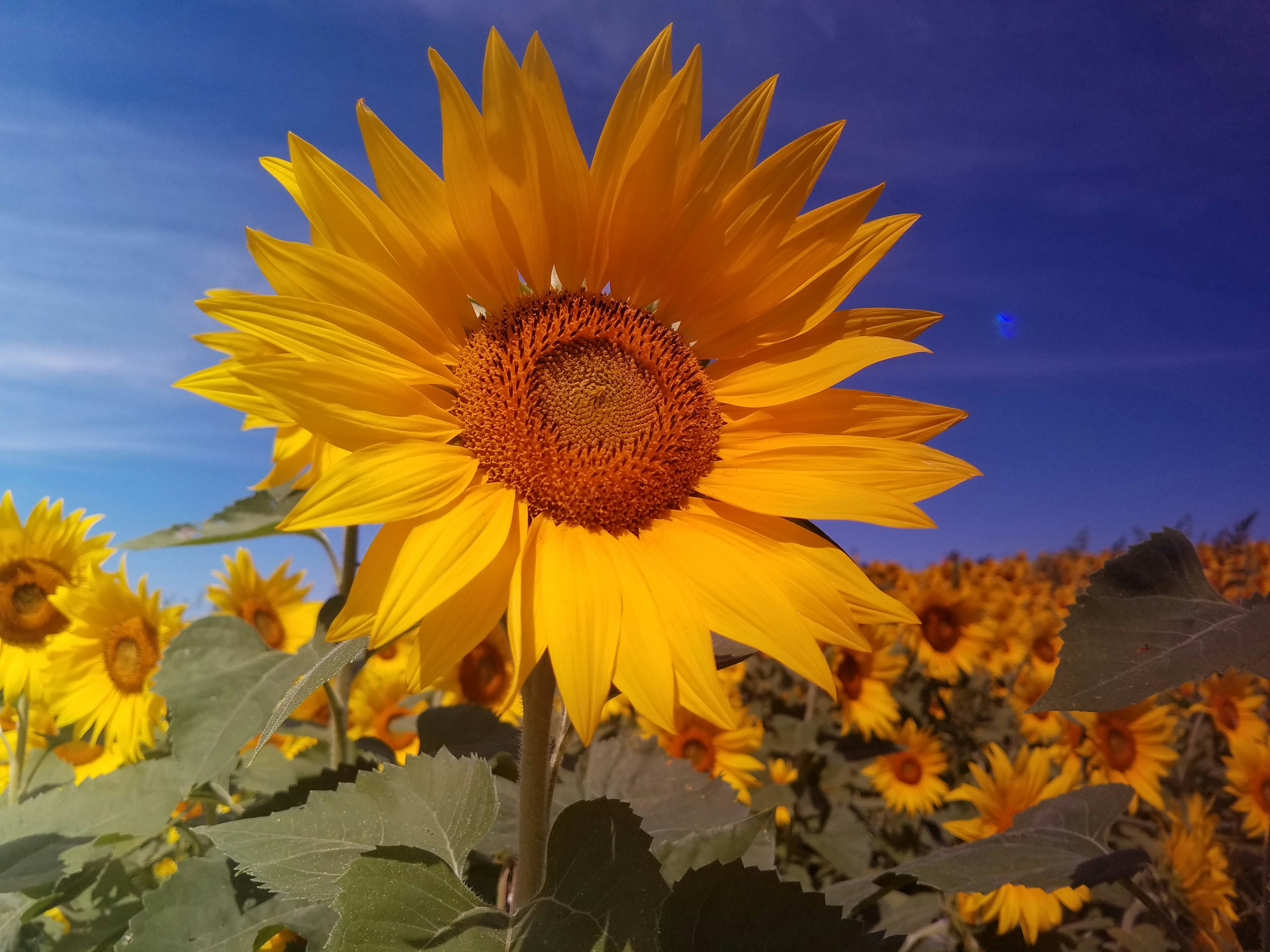 Photo by somethingmagical