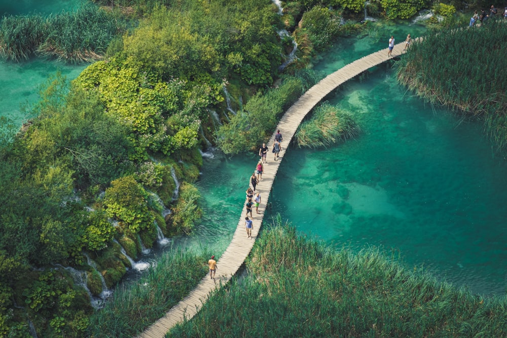 aerial view of pathway near trees