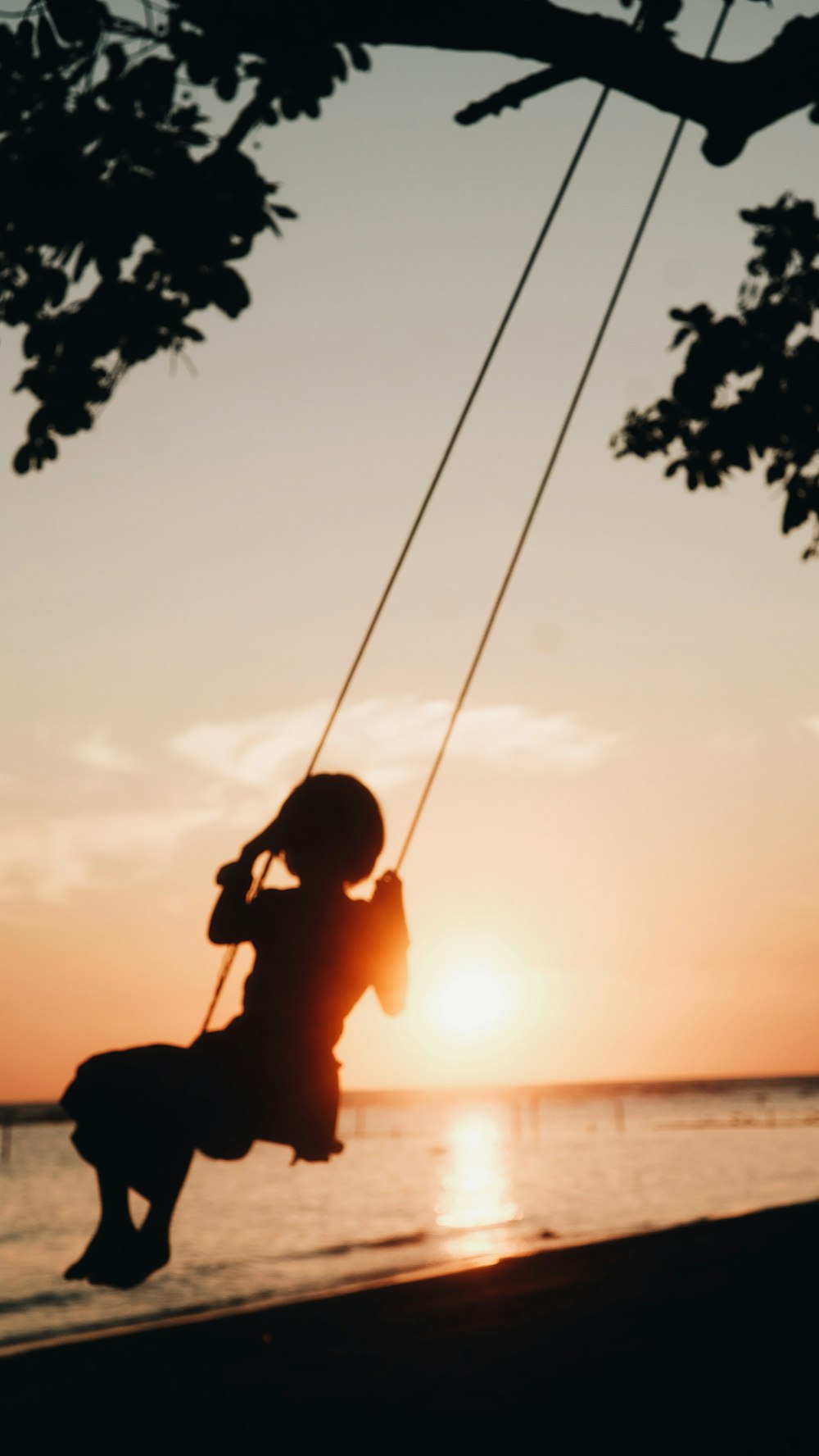 silhouette of girl on swing across body of water