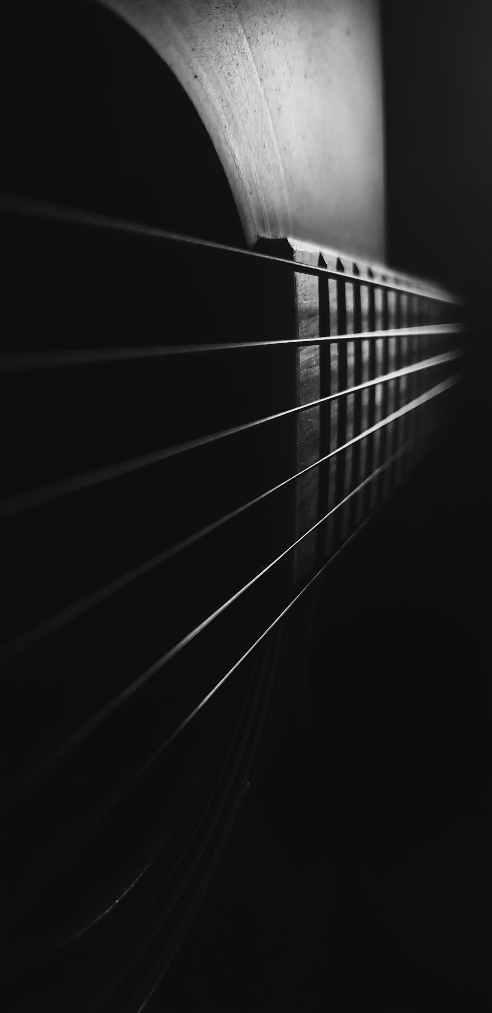 a black and white photo of a guitar