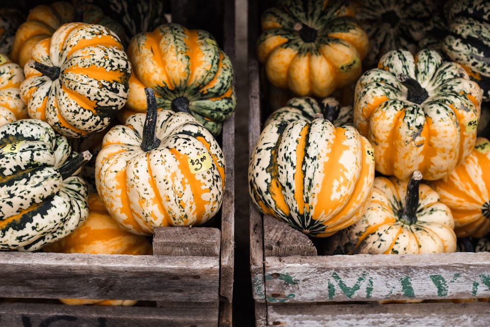 pumpkin lot