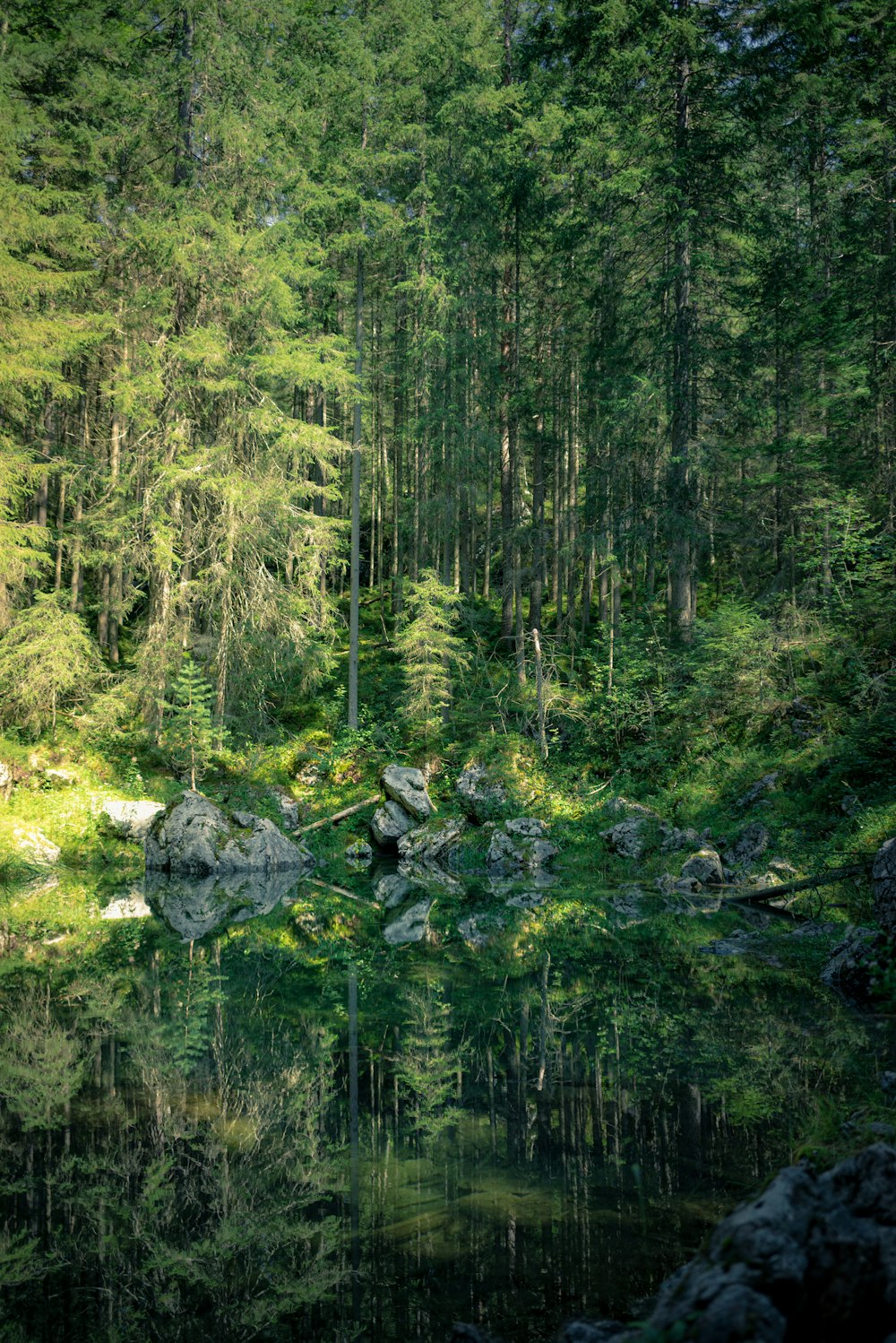 reflection of trees and rocks on body of water during daytime