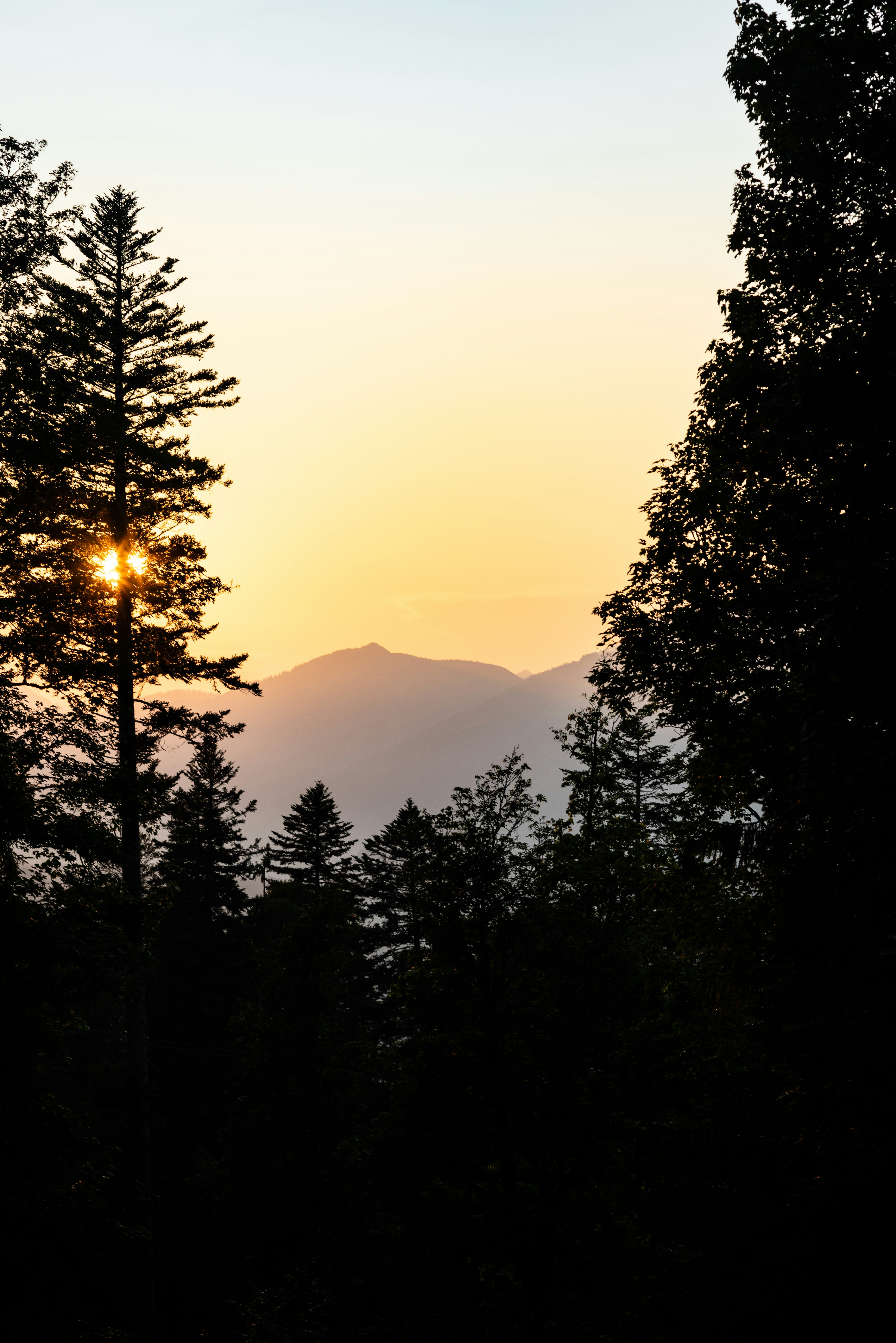 Photo by danielsessler