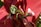 A red fabric with floral patterns is draped over a surface. Two fabric flower napkin rings, one green and one pink, are secured around the fabric, adding decorative elements.