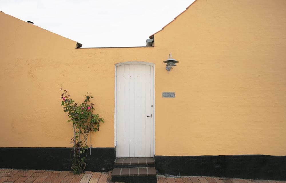 closed white wooden door