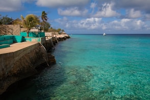 ocean near trees