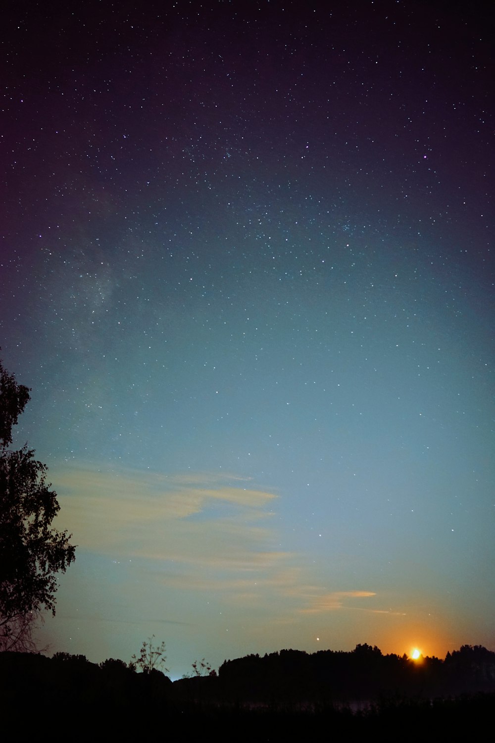 a night sky with stars and a tree