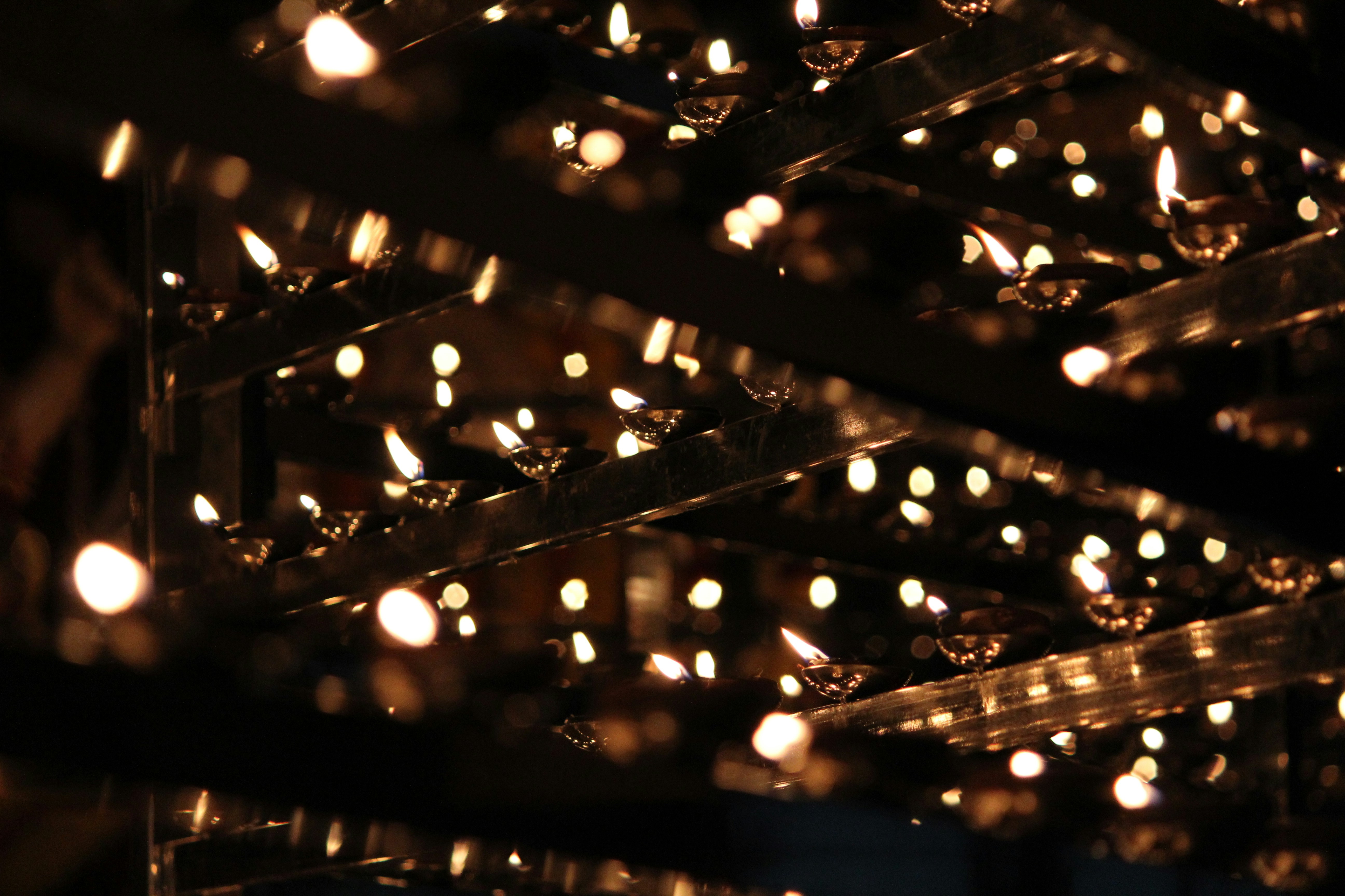 Photo by manju_prabhu