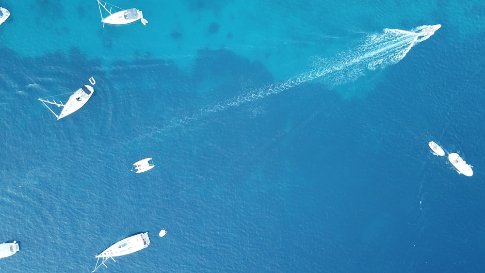aerial photo of powerboats in ocean