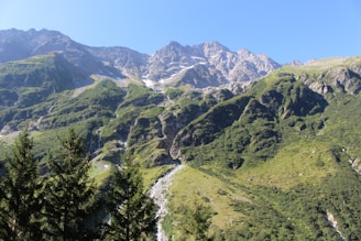 A breathtaking view of Mt. Giluwe's alpine grasslands under a clear blue sky.