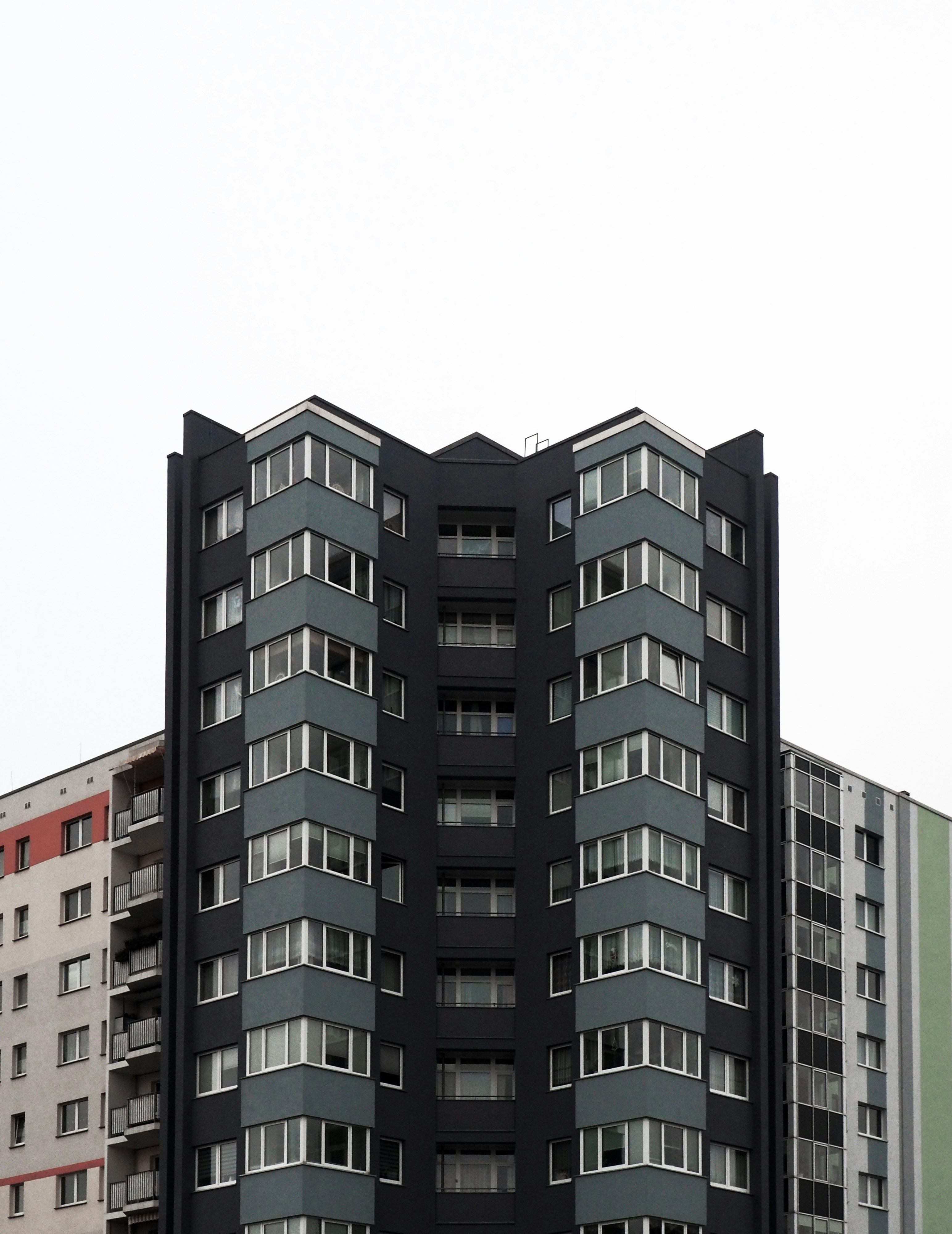 Are Boxers Good Apartment Dogs? (Yes—With a Simple Routine)