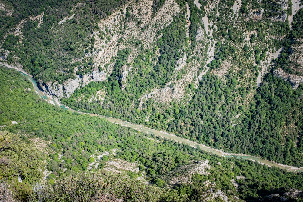 Vista aérea da floresta