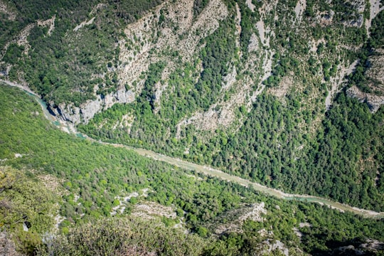 aerial view of forest in Gorges du Verdon France