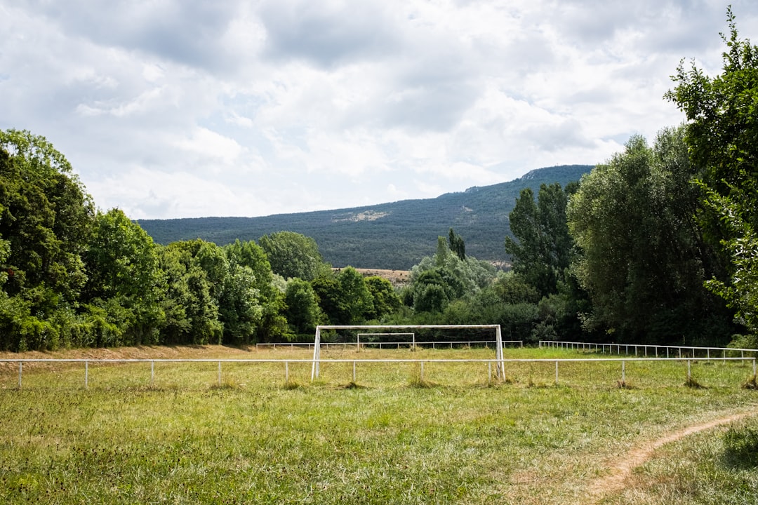 Nature reserve photo spot La Palud-sur-Verdon Montagne Sainte-Victoire