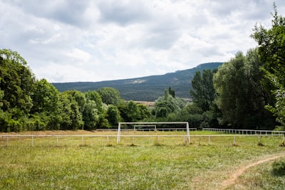 green grass field